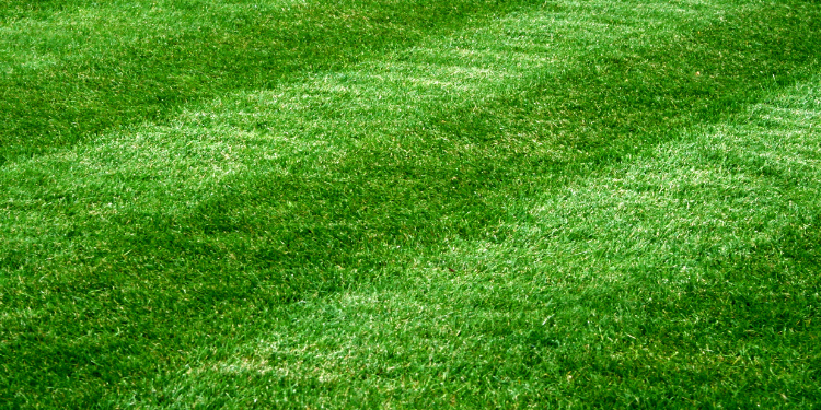 Pristine Landscaping Lighting