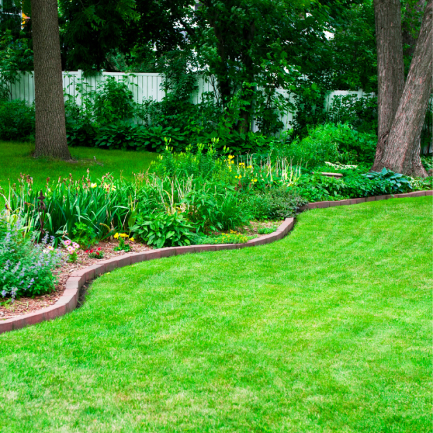 pristine landscaping and lighting