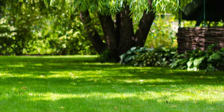 pristine landscaping and lighting pristine landscaping and lighting