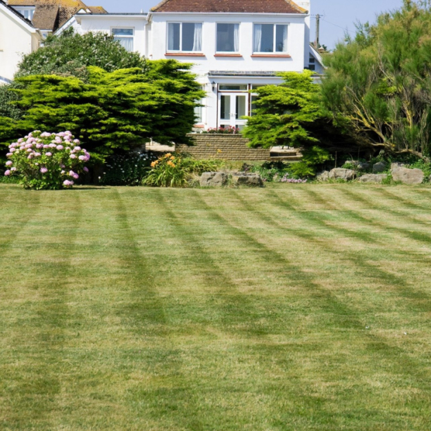 pristine landscaping and lighting