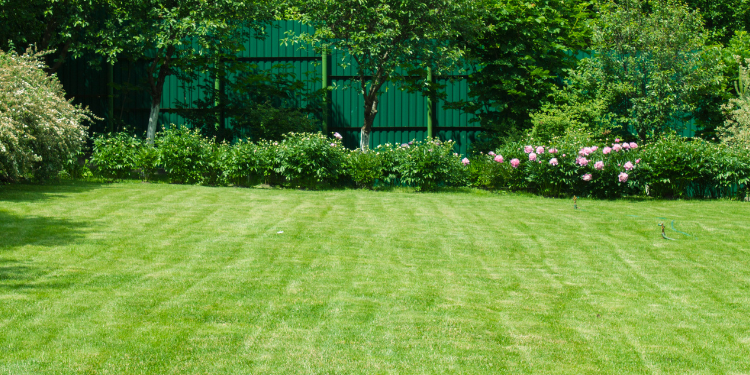 pristine landscaping and lighting