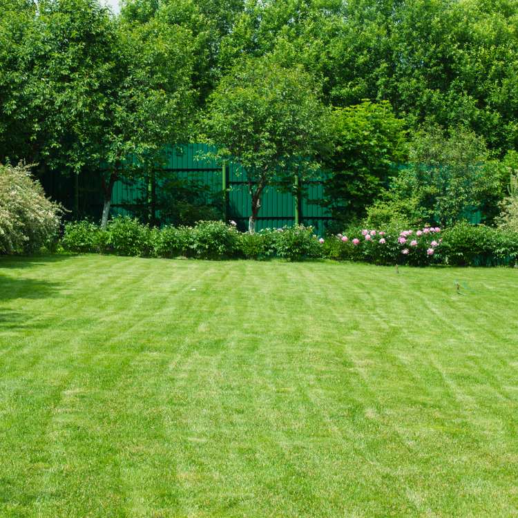 pristine landscaping and lighting