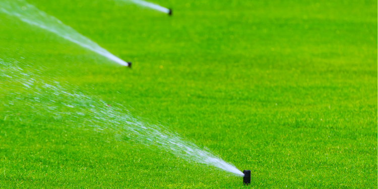 pristine landscaping and lighting pristine landscaping and lighting