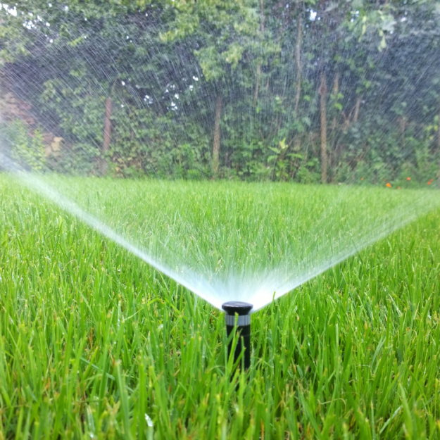 title – 2024-09-12T144622800 pristine landscaping and lighting