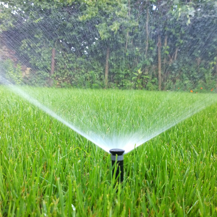 pristine landscaping and lighting