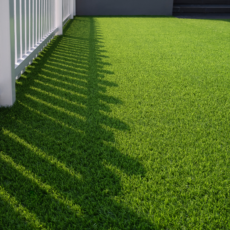 Professional Lawn Care and Landscaping in McKinney TX