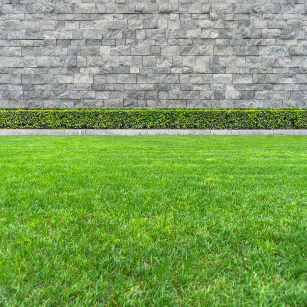 pristine landscaping and lighting