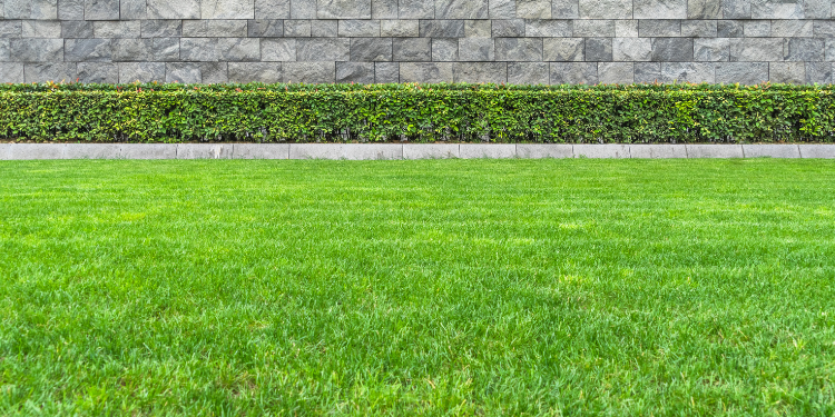 pristine landscaping and lighting pristine landscaping and lighting