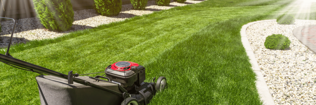 Maintenance Tips Every Homeowner Should Know for Year-Round Lawn Care