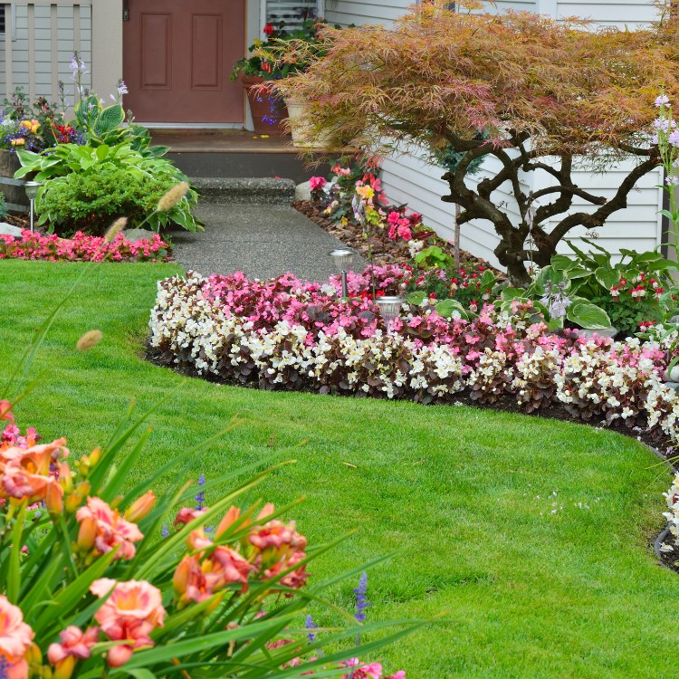 Professional Lawn Care and Landscaping in McKinney TX