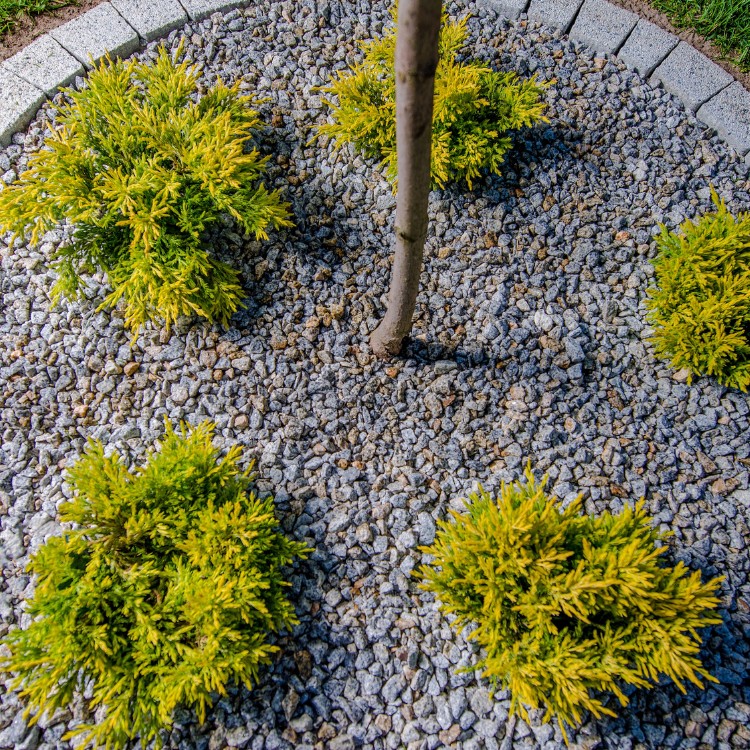 Professional Lawn Care and Landscaping in McKinney TX