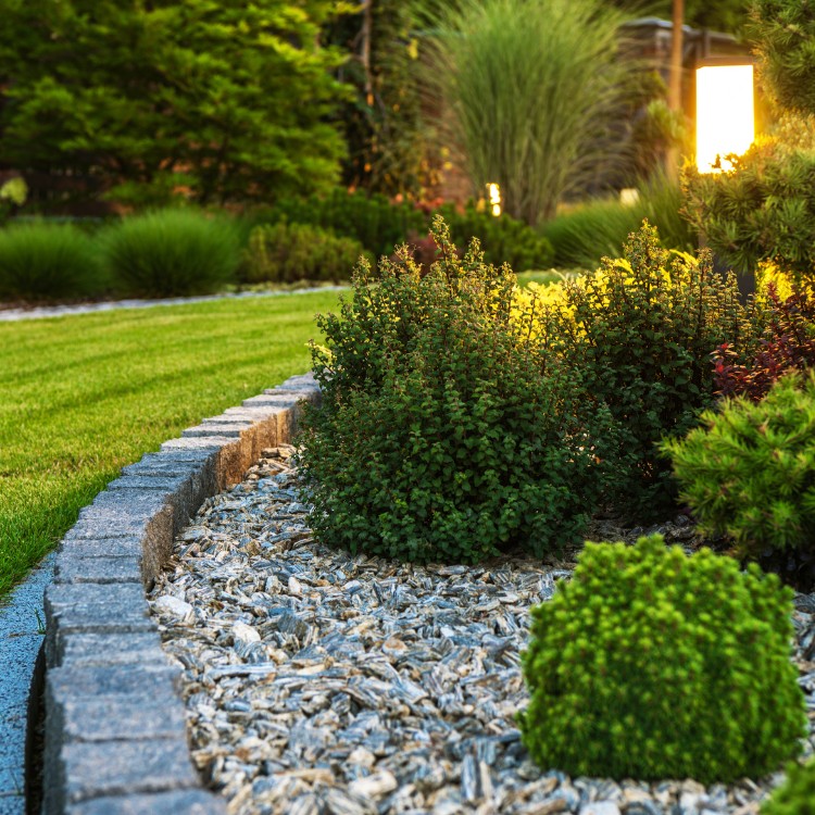 Professional Lawn Care and Landscaping in McKinney TX