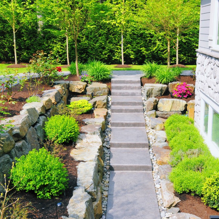Professional Lawn Care and Landscaping in McKinney TX