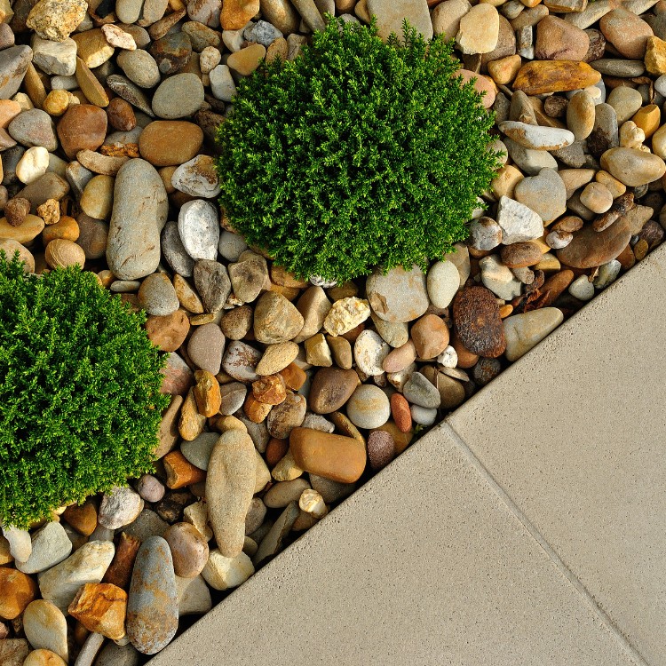Professional Lawn Care and Landscaping in McKinney TX