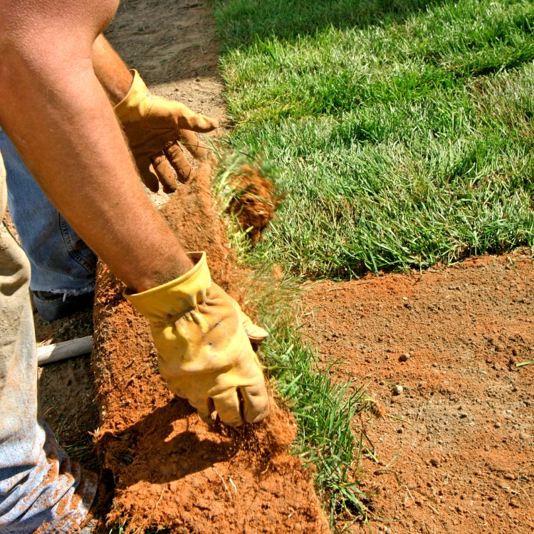 Professional Lawn Care and Landscaping in McKinney TX Professional Lawn Care and Landscaping in McKinney TX