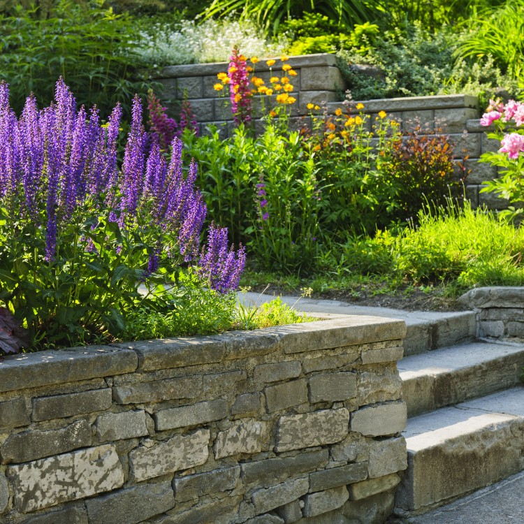 Professional Lawn Care and Landscaping in McKinney TX Professional Lawn Care and Landscaping in McKinney TX