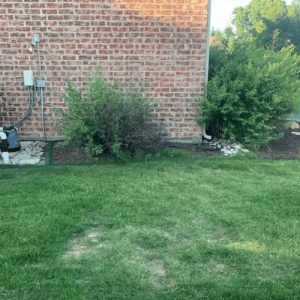 Pristine Landscaping & Lighting