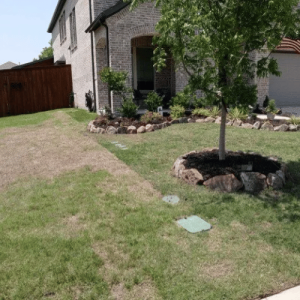 Pristine Landscaping & Lighting