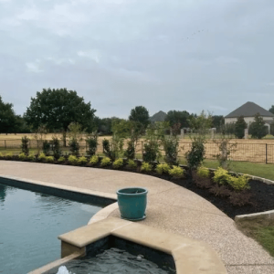 Pristine Landscaping & Lighting