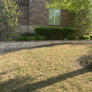 Pristine Landscaping & Lighting