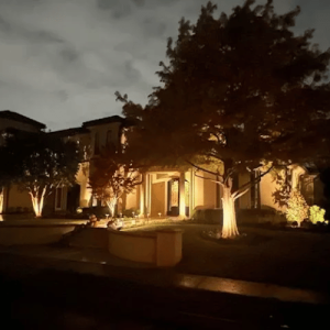 Pristine Landscaping & Lighting