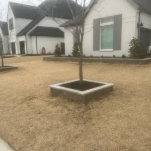 Pristine Landscaping & Lighting