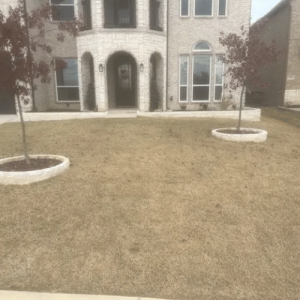 Pristine Landscaping & Lighting