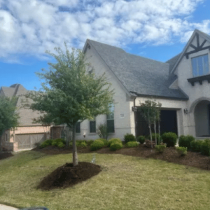 Pristine Landscaping & Lighting