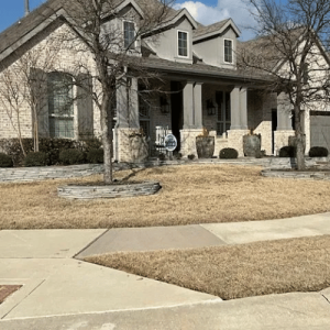 Pristine Landscaping & Lighting