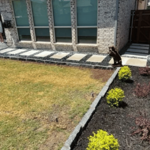 Pristine Landscaping & Lighting