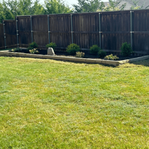 Pristine Landscaping & Lighting