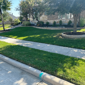 Pristine Landscaping & Lighting