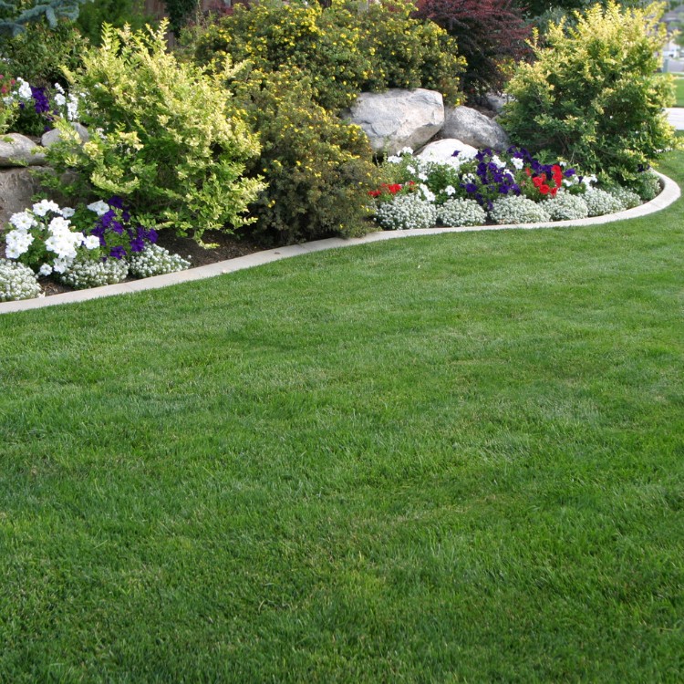 Professional Lawn Care and Landscaping in McKinney TX Professional Lawn Care and Landscaping in McKinney TX