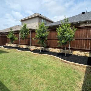 Pristine Landscaping & Lighting