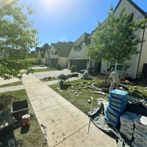 Pristine Landscaping & Lighting