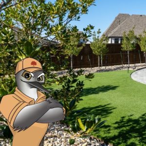 Pristine Landscaping & Lighting
