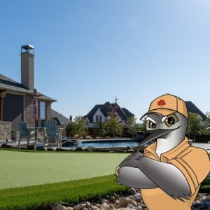 Pristine Landscaping & Lighting