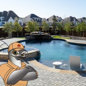 Pristine Landscaping & Lighting