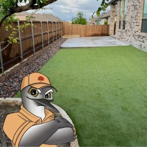 Pristine Landscaping & Lighting