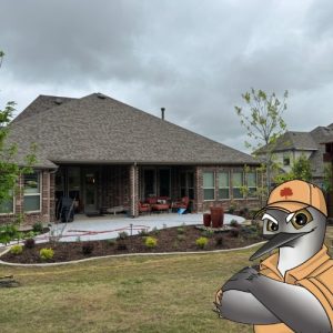 Pristine Landscaping & Lighting