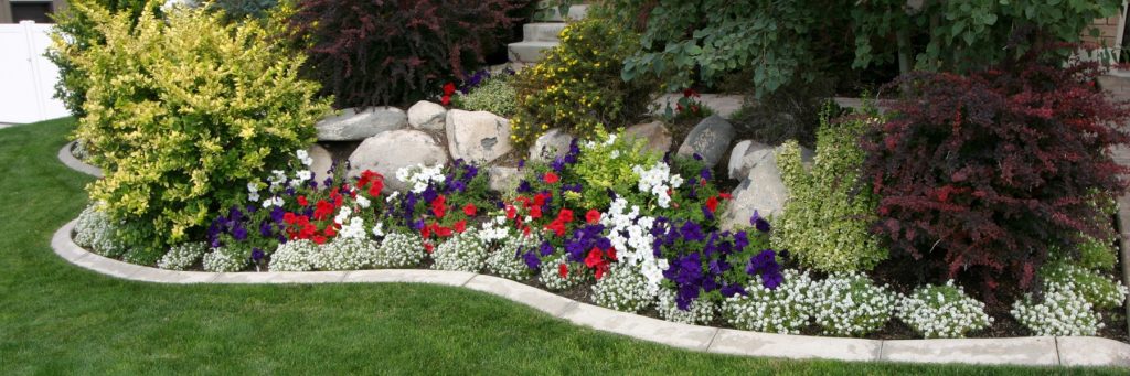 Professional Lawn Care and Landscaping in McKinney TX