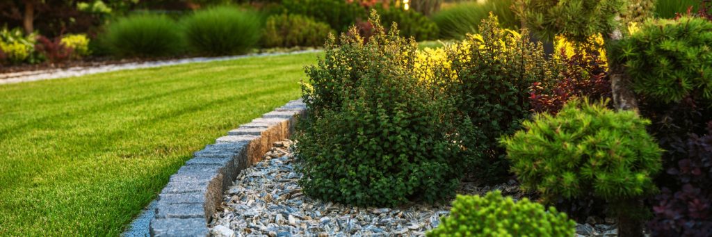 Professional Lawn Care and Landscaping in McKinney TX