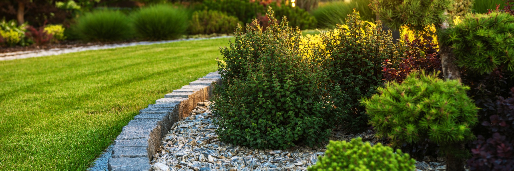 Professional Lawn Care and Landscaping in McKinney TX