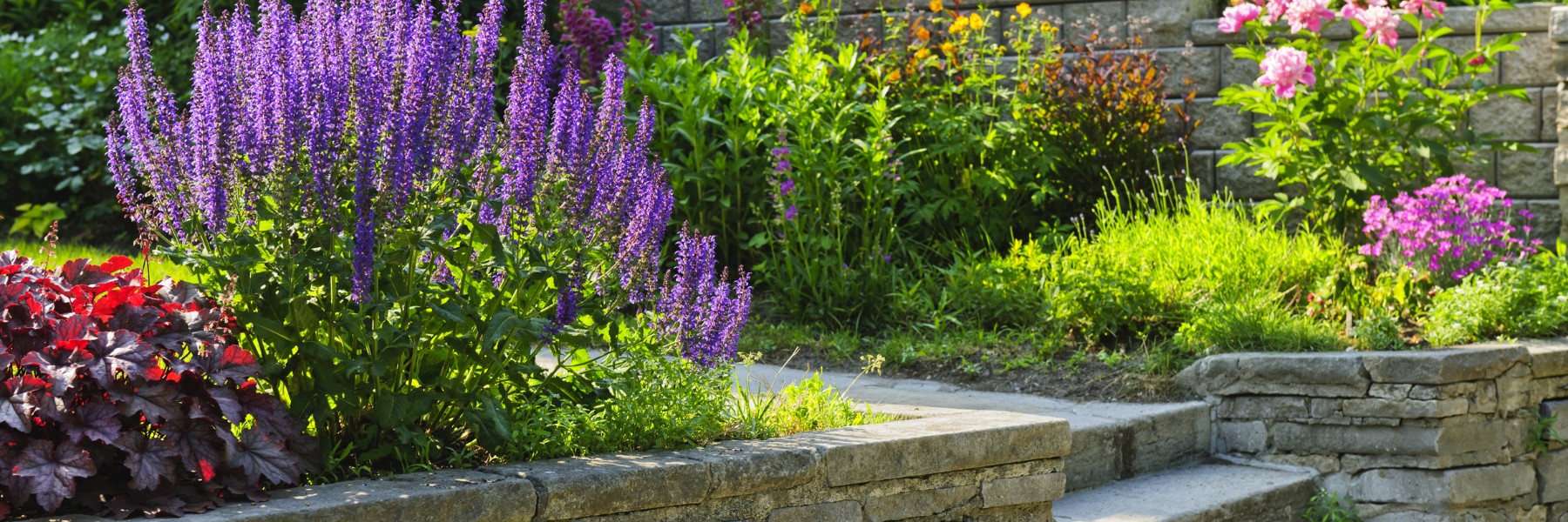 Professional Lawn Care and Landscaping in McKinney TX